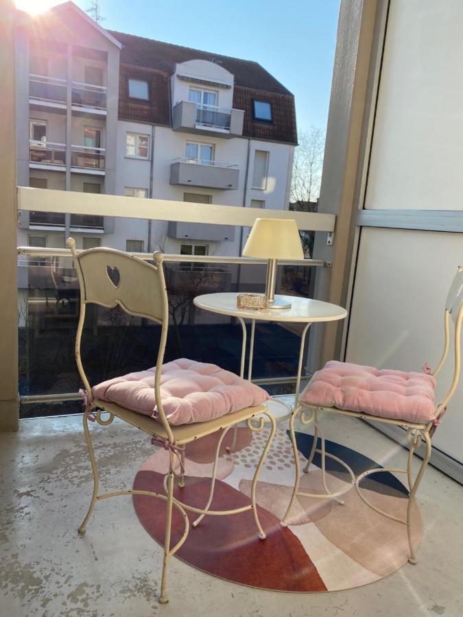 Charmant Studio A Haguenau, A 25Mn De Strasbourg エクステリア 写真